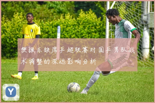樊振东缺席乒超联赛对国乒男队战术调整的深远影响分析